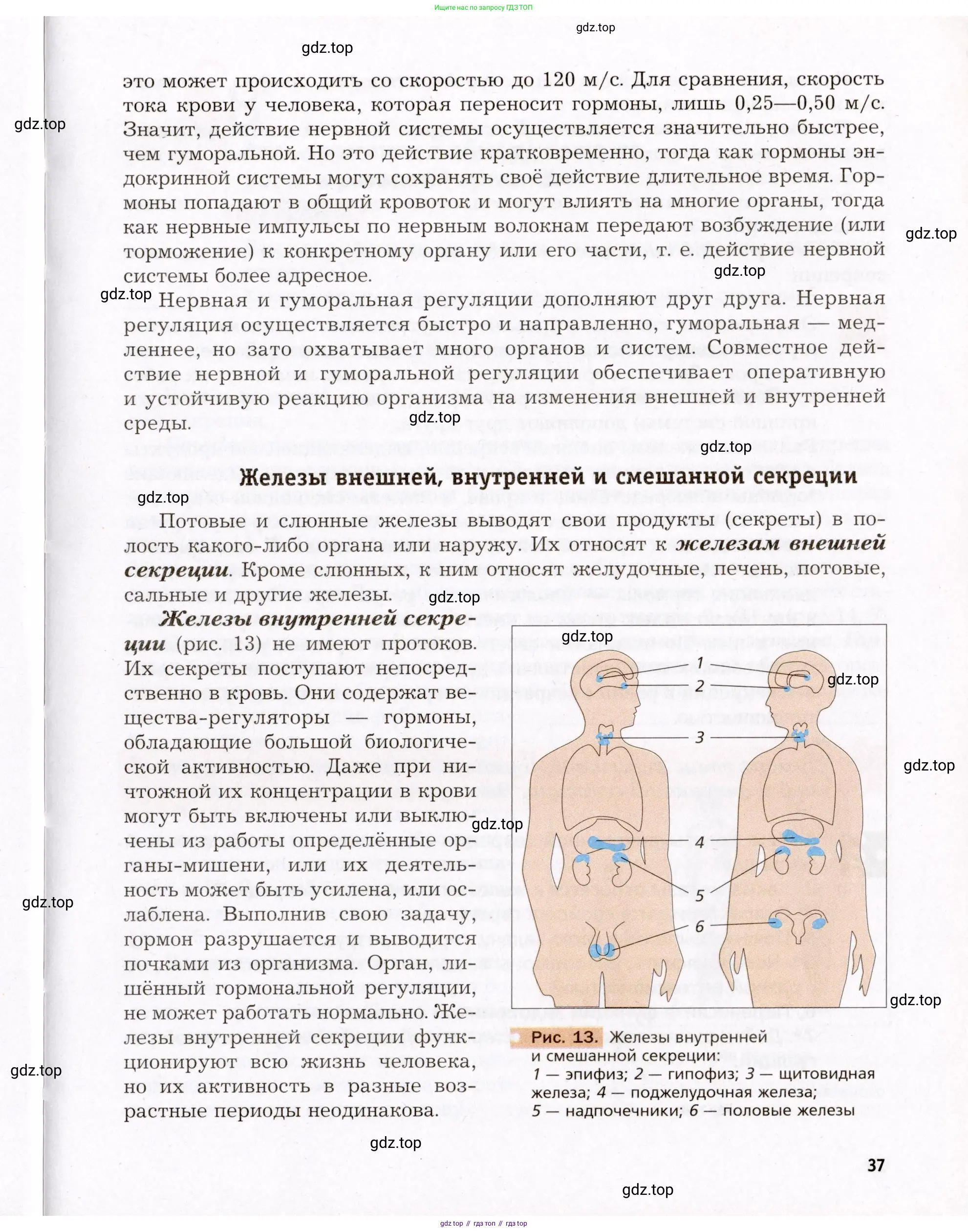 Биология, 8 класс Учебник, авторы: Драгомилов Александр Григорьевич, Маш Реми Давидович, издательство Просвещение, Москва, 2019, оранжевого цвета, страница 37