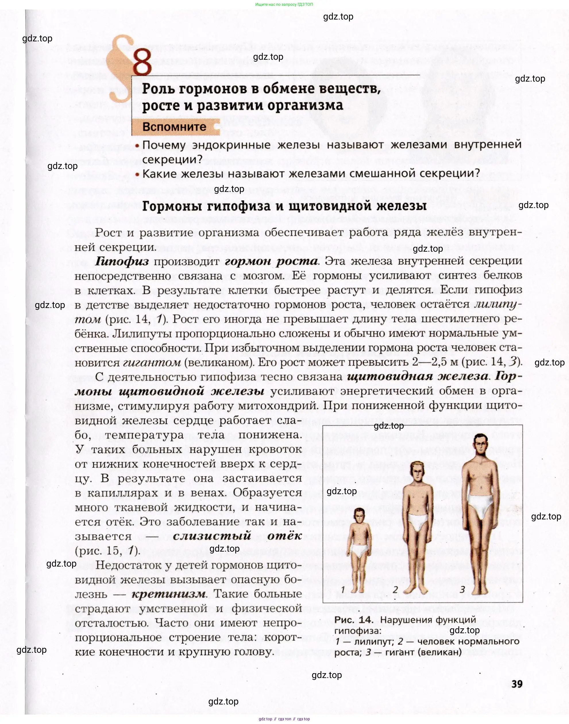 Биология, 8 класс Учебник, авторы: Драгомилов Александр Григорьевич, Маш Реми Давидович, издательство Просвещение, Москва, 2019, оранжевого цвета, страница 39