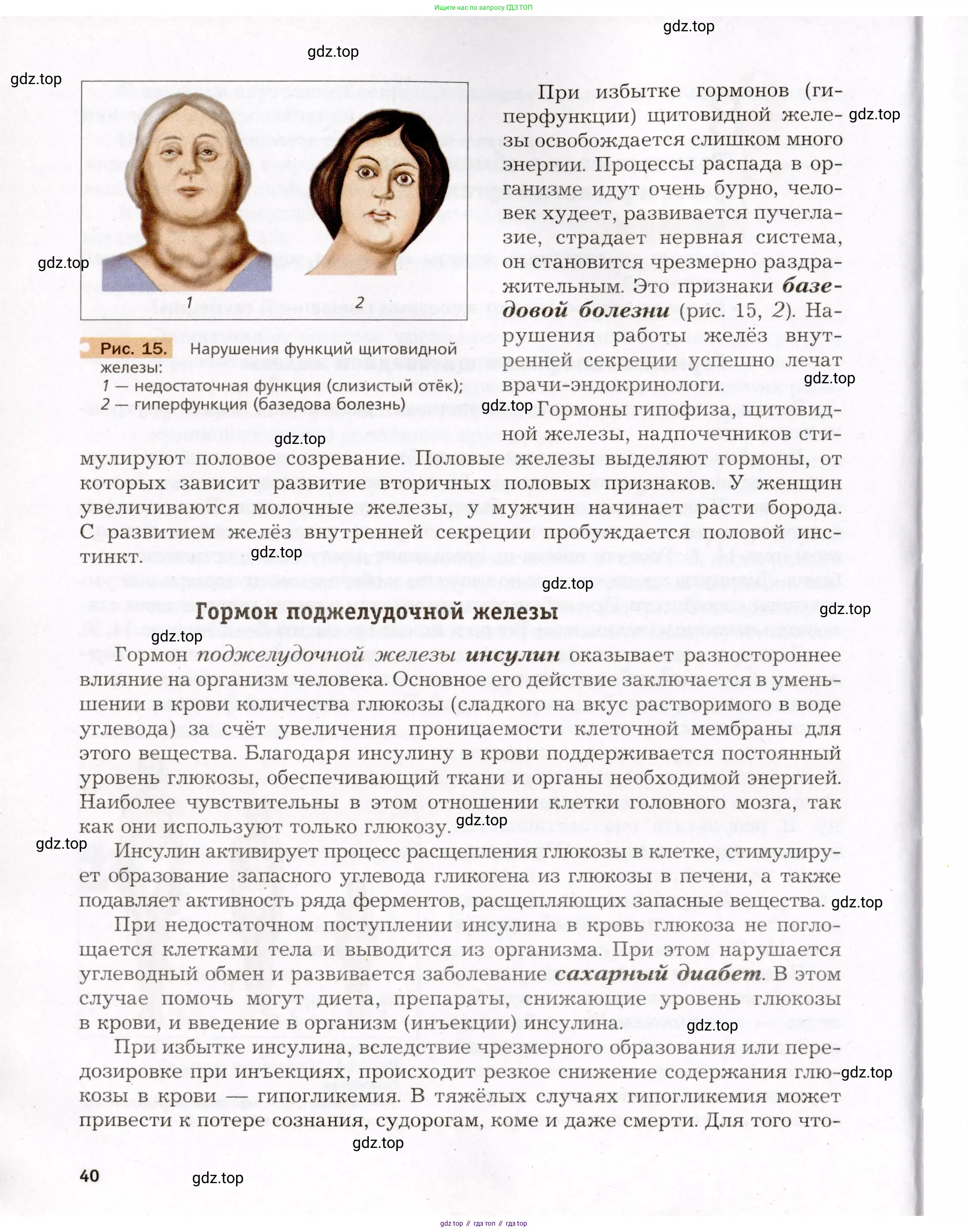 Биология, 8 класс Учебник, авторы: Драгомилов Александр Григорьевич, Маш Реми Давидович, издательство Просвещение, Москва, 2019, оранжевого цвета, страница 40