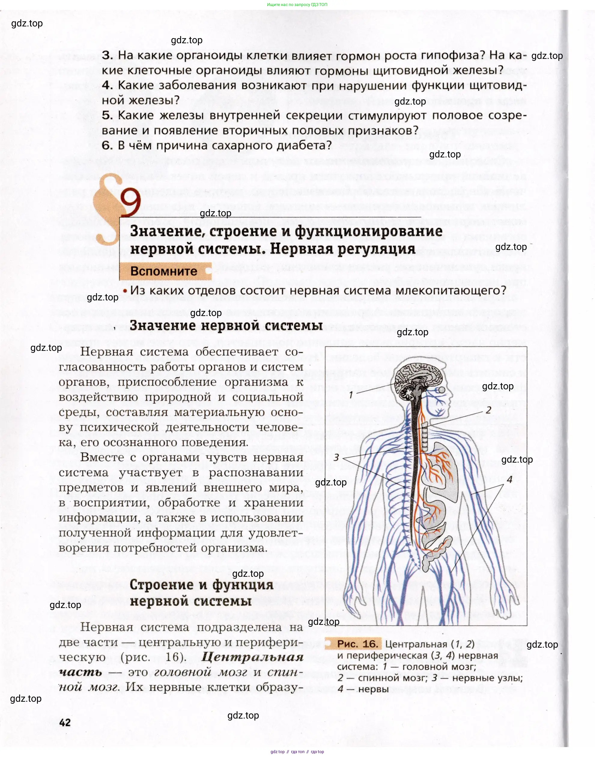 Биология, 8 класс Учебник, авторы: Драгомилов Александр Григорьевич, Маш Реми Давидович, издательство Просвещение, Москва, 2019, оранжевого цвета, страница 42