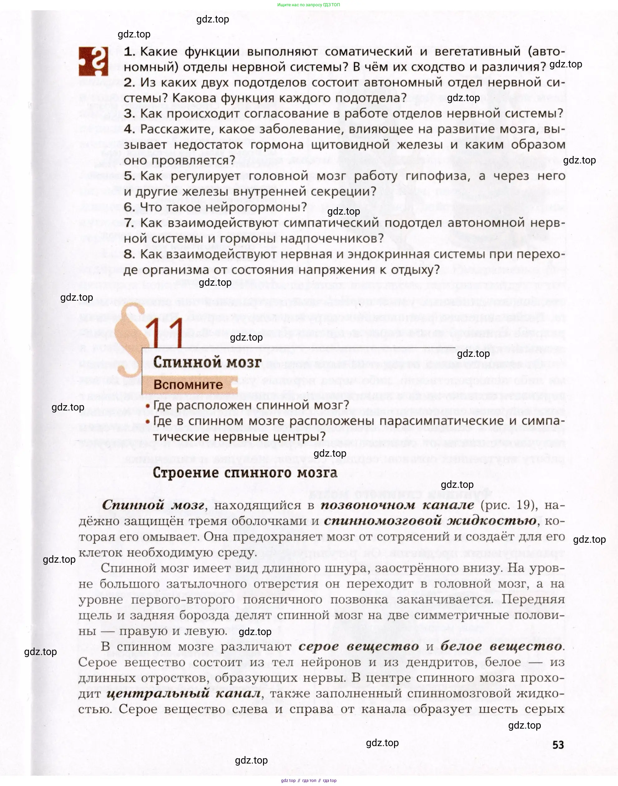 Биология, 8 класс Учебник, авторы: Драгомилов Александр Григорьевич, Маш Реми Давидович, издательство Просвещение, Москва, 2019, оранжевого цвета, страница 53