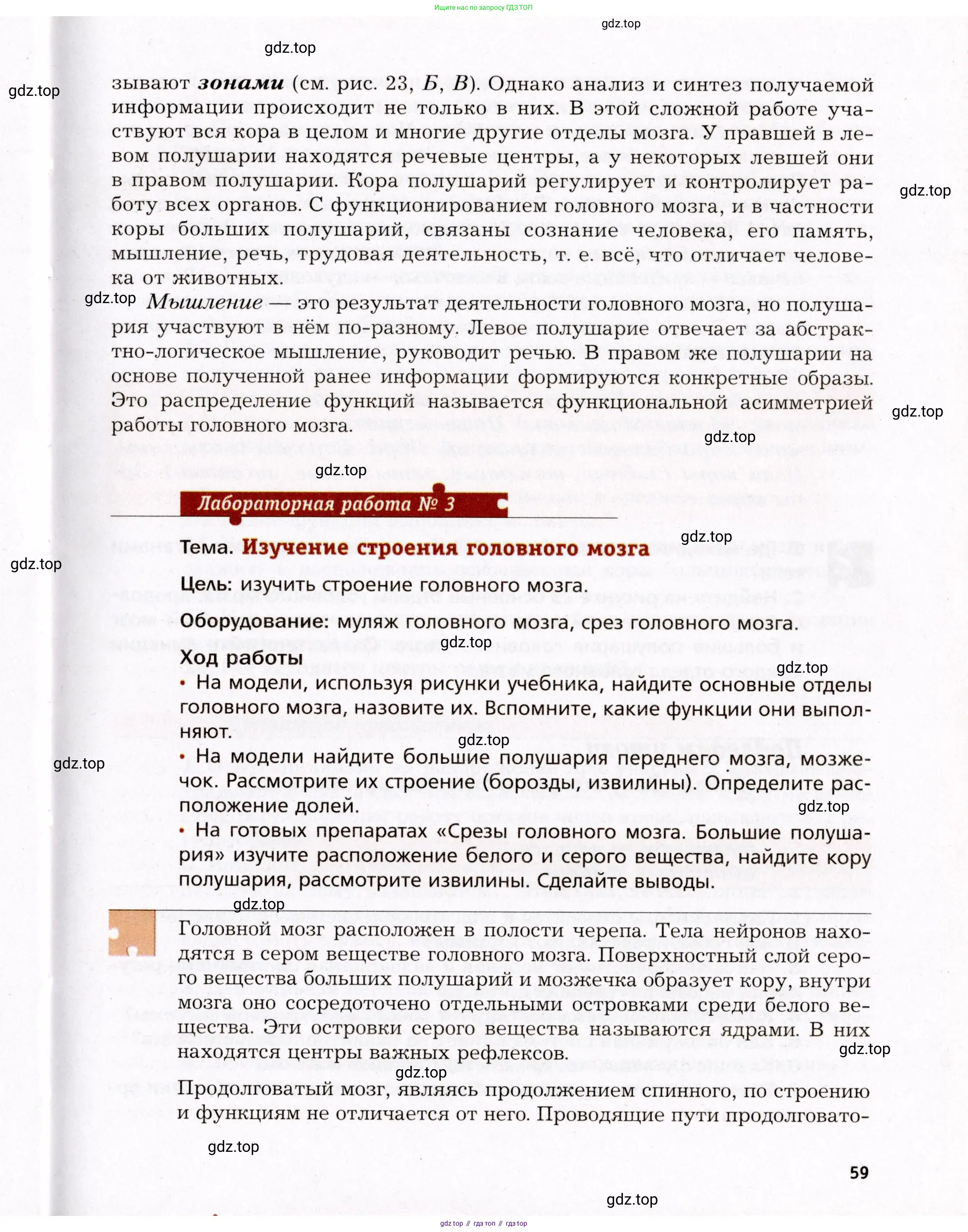 Биология, 8 класс Учебник, авторы: Драгомилов Александр Григорьевич, Маш Реми Давидович, издательство Просвещение, Москва, 2019, оранжевого цвета, страница 59