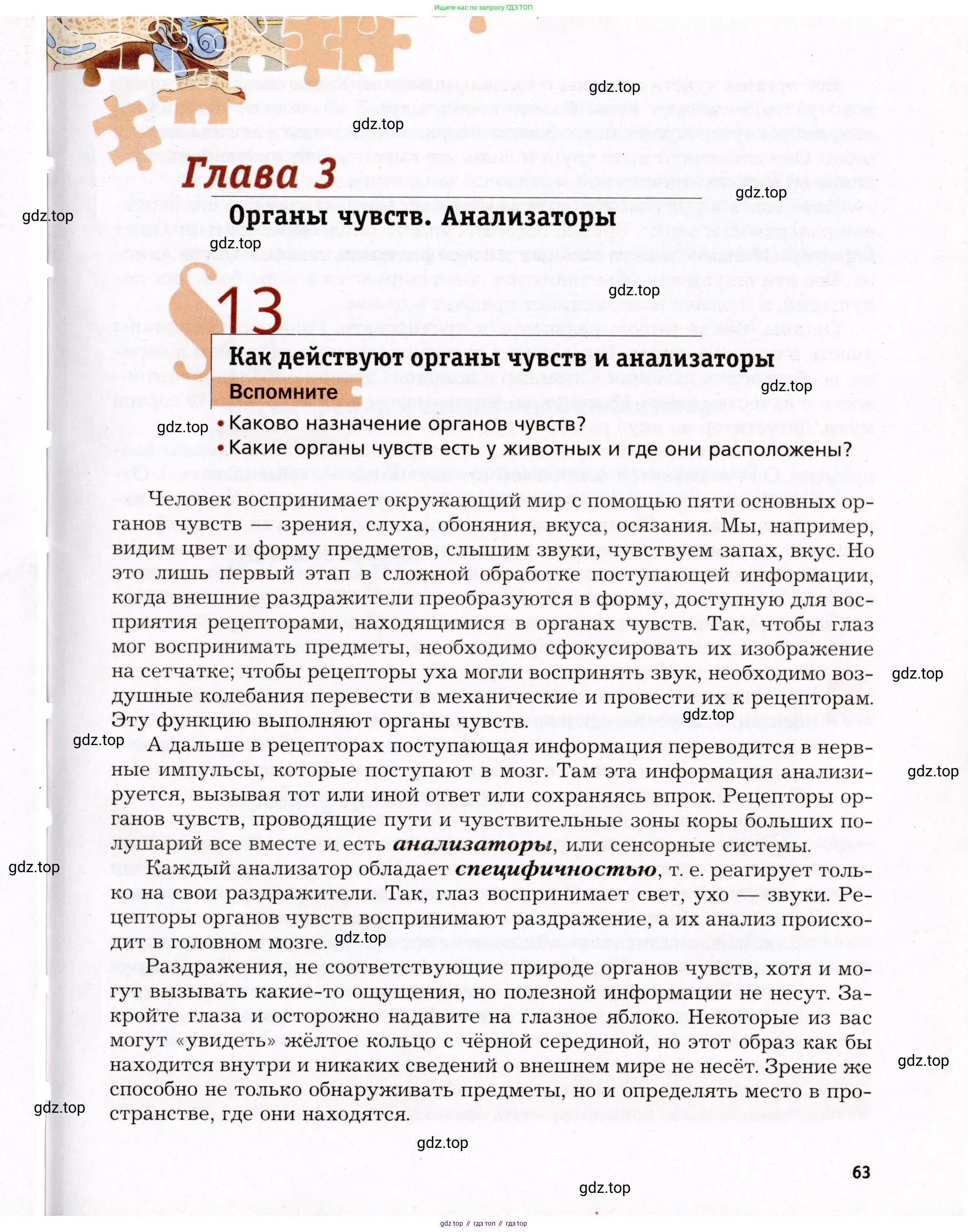 Биология, 8 класс Учебник, авторы: Драгомилов Александр Григорьевич, Маш Реми Давидович, издательство Просвещение, Москва, 2019, оранжевого цвета, страница 63