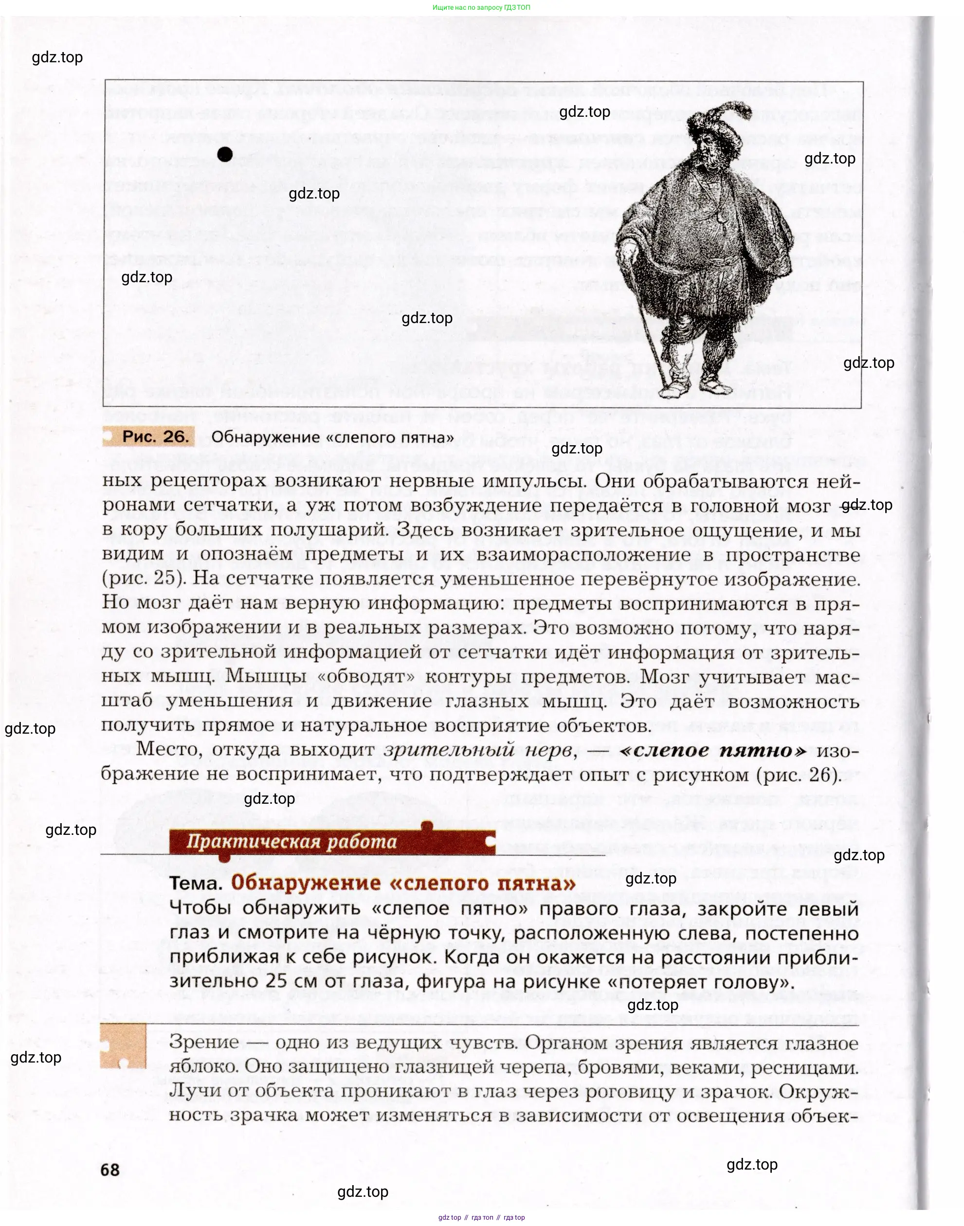 Биология, 8 класс Учебник, авторы: Драгомилов Александр Григорьевич, Маш Реми Давидович, издательство Просвещение, Москва, 2019, оранжевого цвета, страница 68