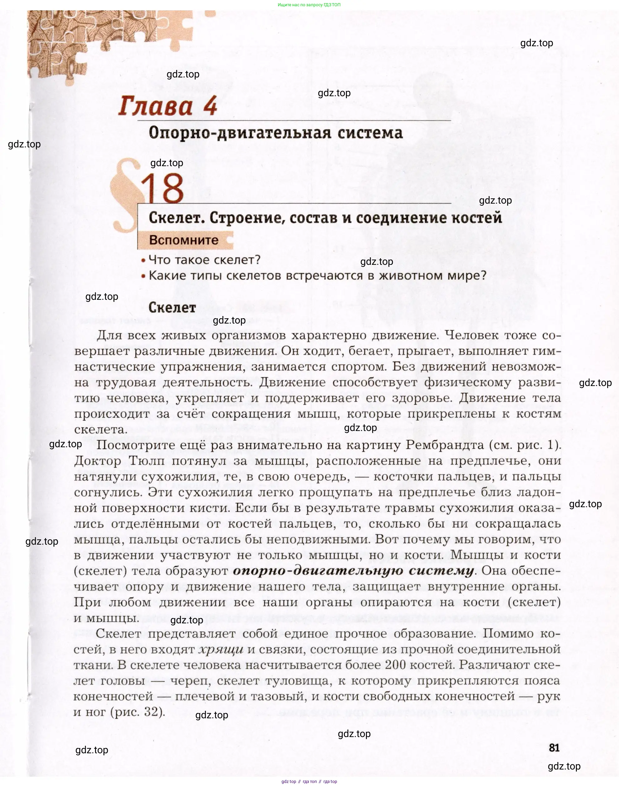 Биология, 8 класс Учебник, авторы: Драгомилов Александр Григорьевич, Маш Реми Давидович, издательство Просвещение, Москва, 2019, оранжевого цвета, страница 81