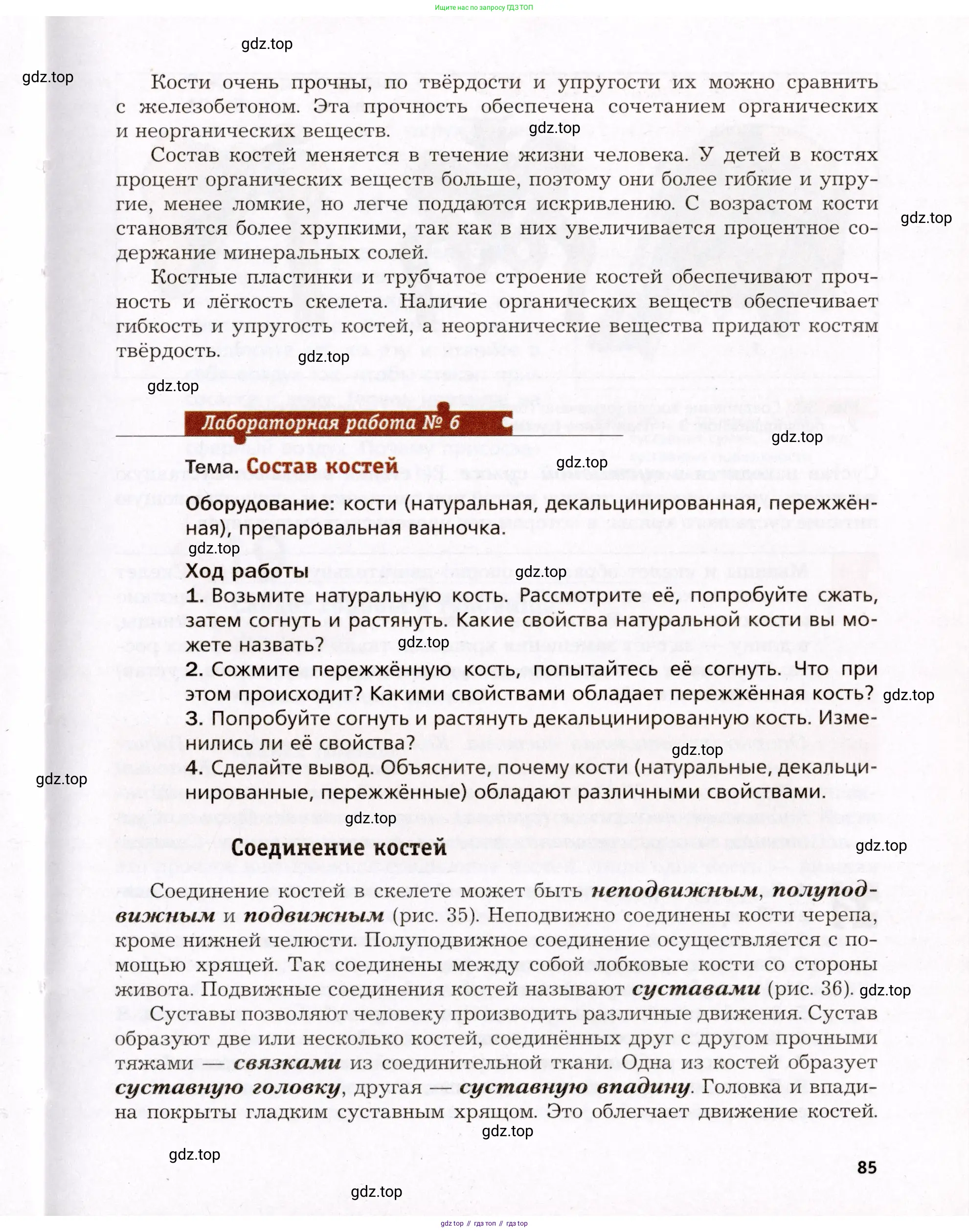 Биология, 8 класс Учебник, авторы: Драгомилов Александр Григорьевич, Маш Реми Давидович, издательство Просвещение, Москва, 2019, оранжевого цвета, страница 85