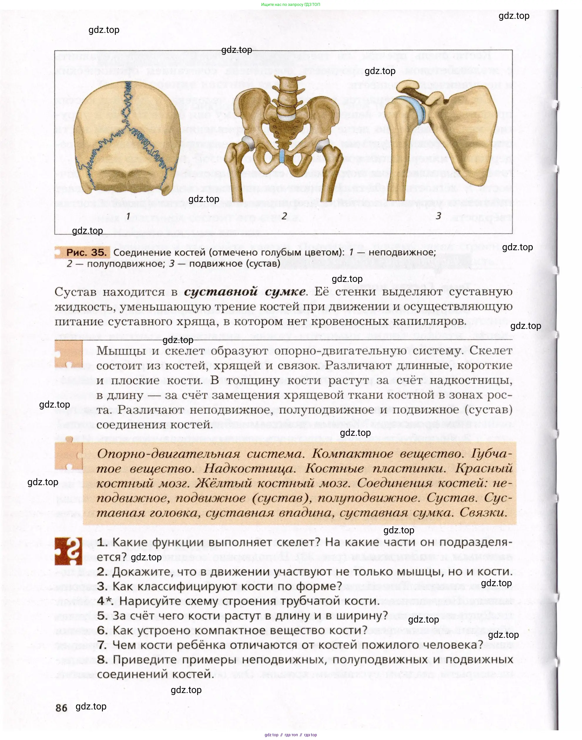 Биология, 8 класс Учебник, авторы: Драгомилов Александр Григорьевич, Маш Реми Давидович, издательство Просвещение, Москва, 2019, оранжевого цвета, страница 86