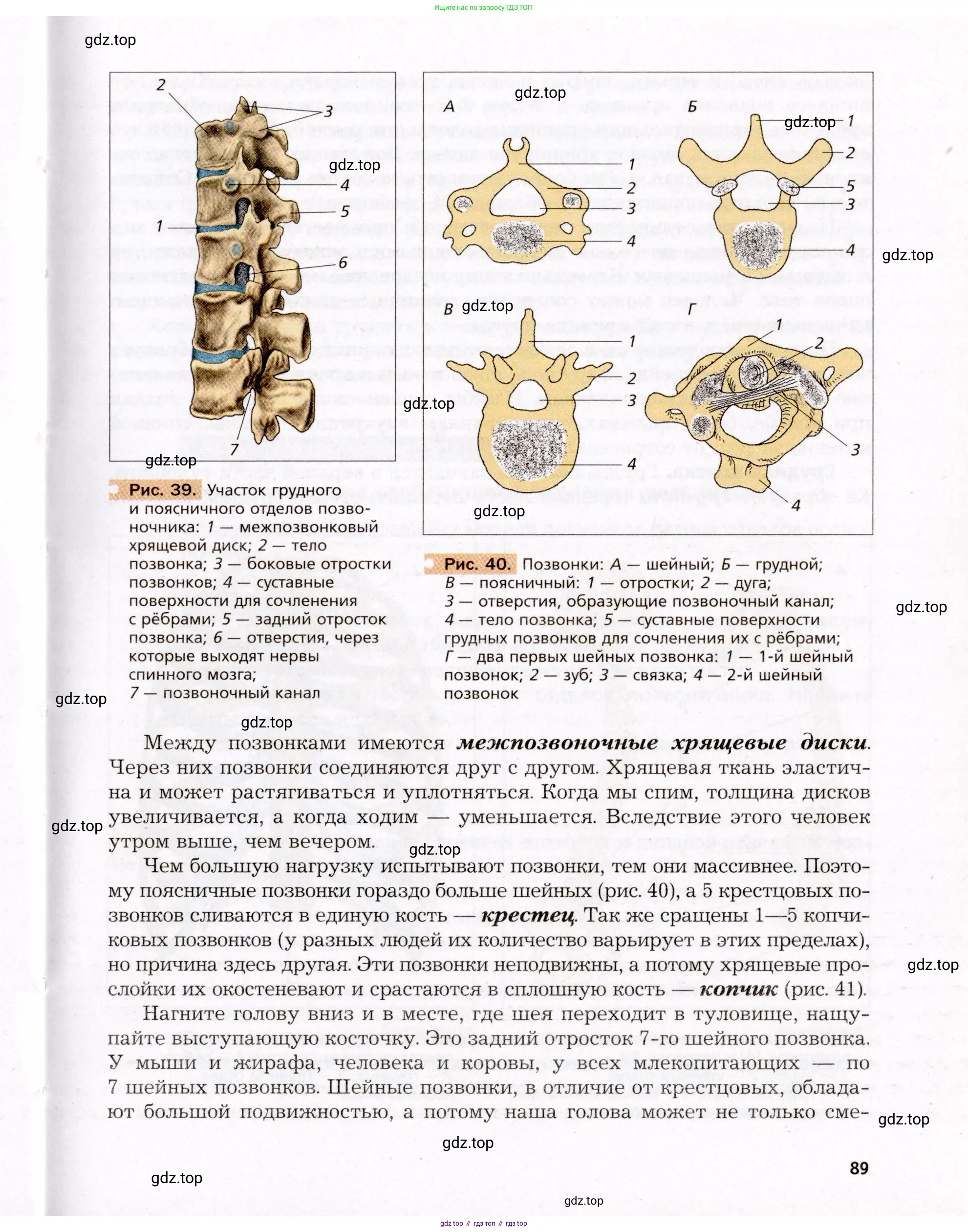Биология, 8 класс Учебник, авторы: Драгомилов Александр Григорьевич, Маш Реми Давидович, издательство Просвещение, Москва, 2019, оранжевого цвета, страница 89