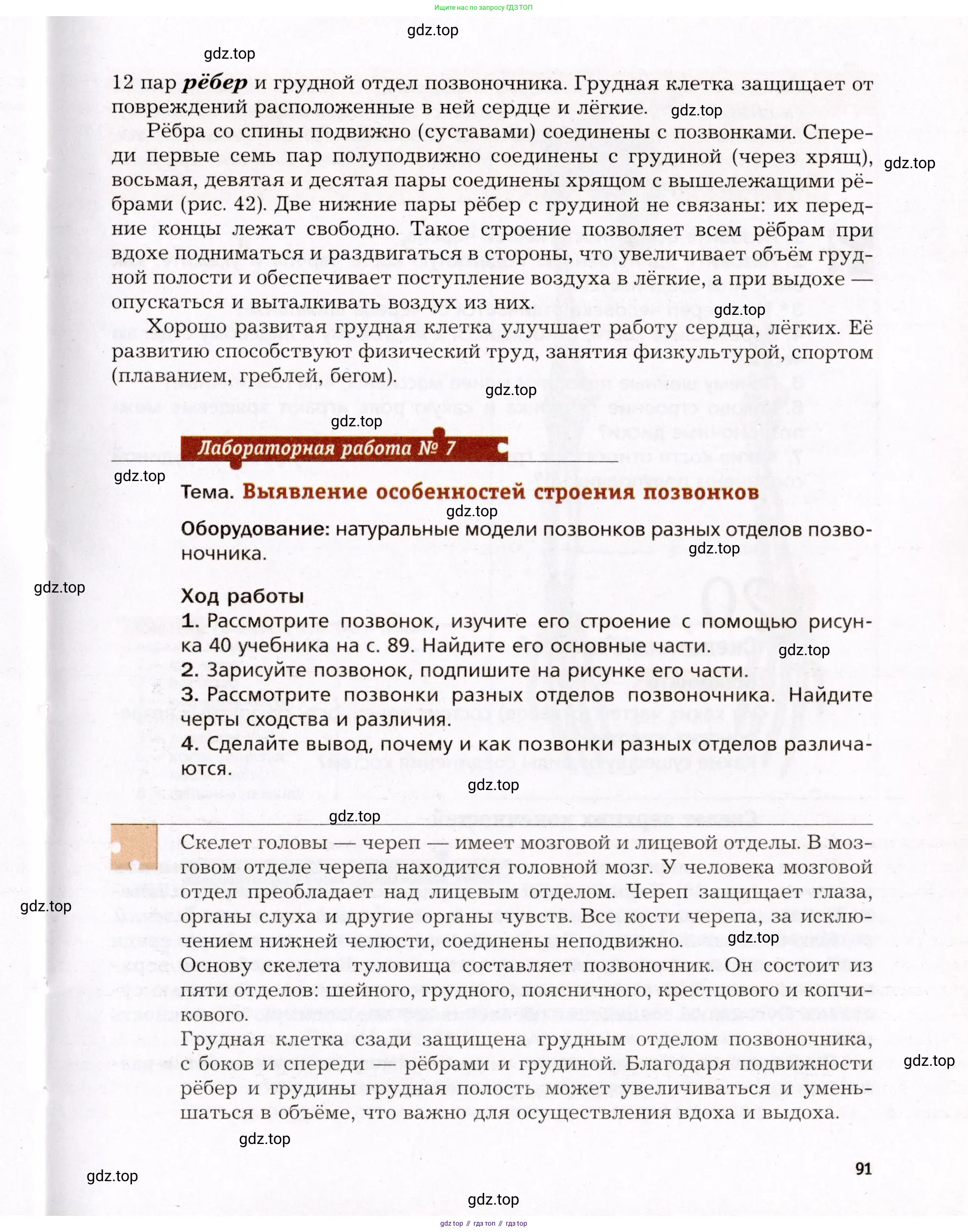 Биология, 8 класс Учебник, авторы: Драгомилов Александр Григорьевич, Маш Реми Давидович, издательство Просвещение, Москва, 2019, оранжевого цвета, страница 91