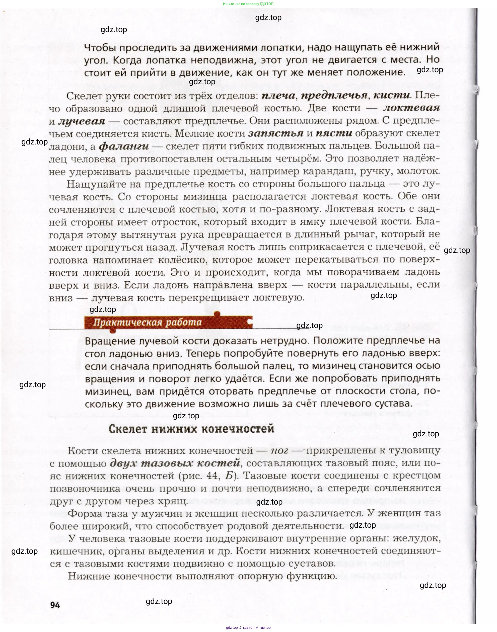 Биология, 8 класс Учебник, авторы: Драгомилов Александр Григорьевич, Маш Реми Давидович, издательство Просвещение, Москва, 2019, оранжевого цвета, страница 94