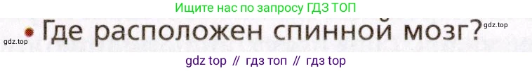 Биология, 8 класс Учебник, авторы: Драгомилов Александр Григорьевич, Маш Реми Давидович, издательство Просвещение, Москва, 2019, оранжевого цвета, страница 53, номер 1, Условие