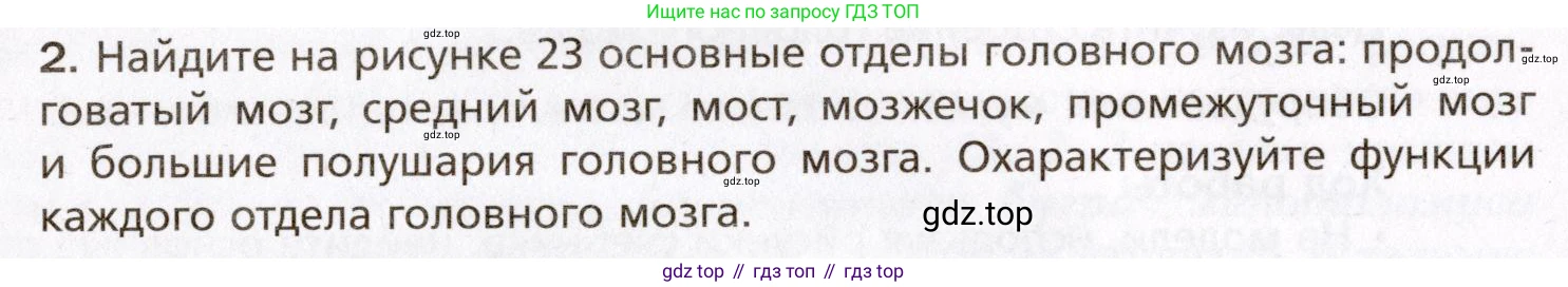 Биология, 8 класс Учебник, авторы: Драгомилов Александр Григорьевич, Маш Реми Давидович, издательство Просвещение, Москва, 2019, оранжевого цвета, страница 60, номер 2, Условие