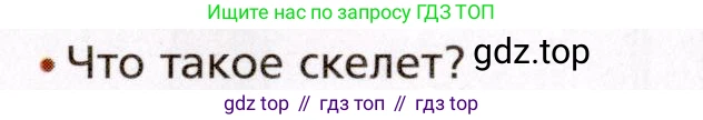 Биология, 8 класс Учебник, авторы: Драгомилов Александр Григорьевич, Маш Реми Давидович, издательство Просвещение, Москва, 2019, оранжевого цвета, страница 81, номер 1, Условие