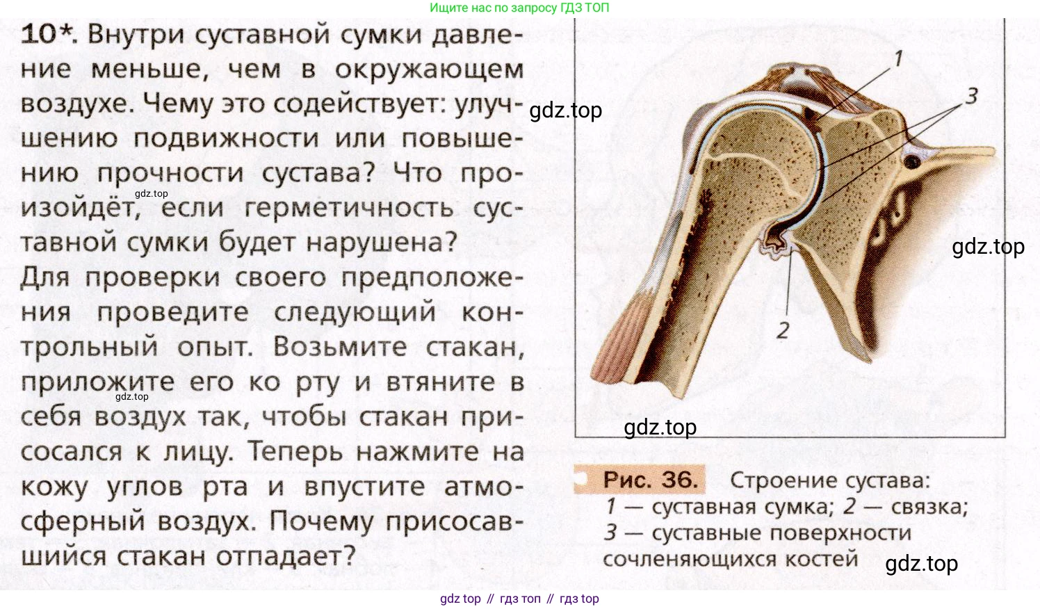 Биология, 8 класс Учебник, авторы: Драгомилов Александр Григорьевич, Маш Реми Давидович, издательство Просвещение, Москва, 2019, оранжевого цвета, страница 87, номер 10, Условие