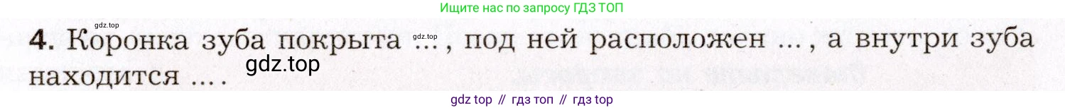 Биология, 8 класс Учебник, авторы: Драгомилов Александр Григорьевич, Маш Реми Давидович, издательство Просвещение, Москва, 2019, оранжевого цвета, страница 198, номер 4, Условие