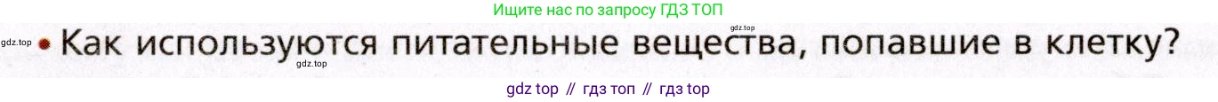 Биология, 8 класс Учебник, авторы: Драгомилов Александр Григорьевич, Маш Реми Давидович, издательство Просвещение, Москва, 2019, оранжевого цвета, страница 199, номер 2, Условие