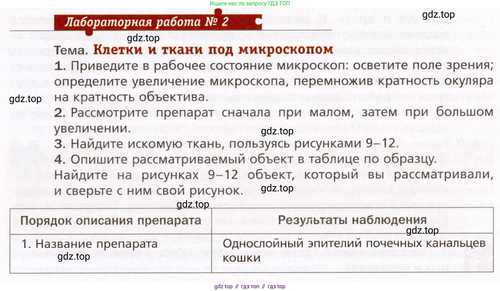 Биология, 8 класс Учебник, авторы: Драгомилов Александр Григорьевич, Маш Реми Давидович, издательство Просвещение, Москва, 2019, оранжевого цвета, страница 29, Условие
