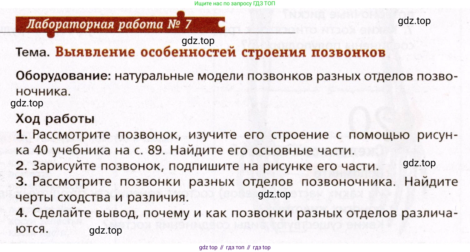 Биология, 8 класс Учебник, авторы: Драгомилов Александр Григорьевич, Маш Реми Давидович, издательство Просвещение, Москва, 2019, оранжевого цвета, страница 91, Условие