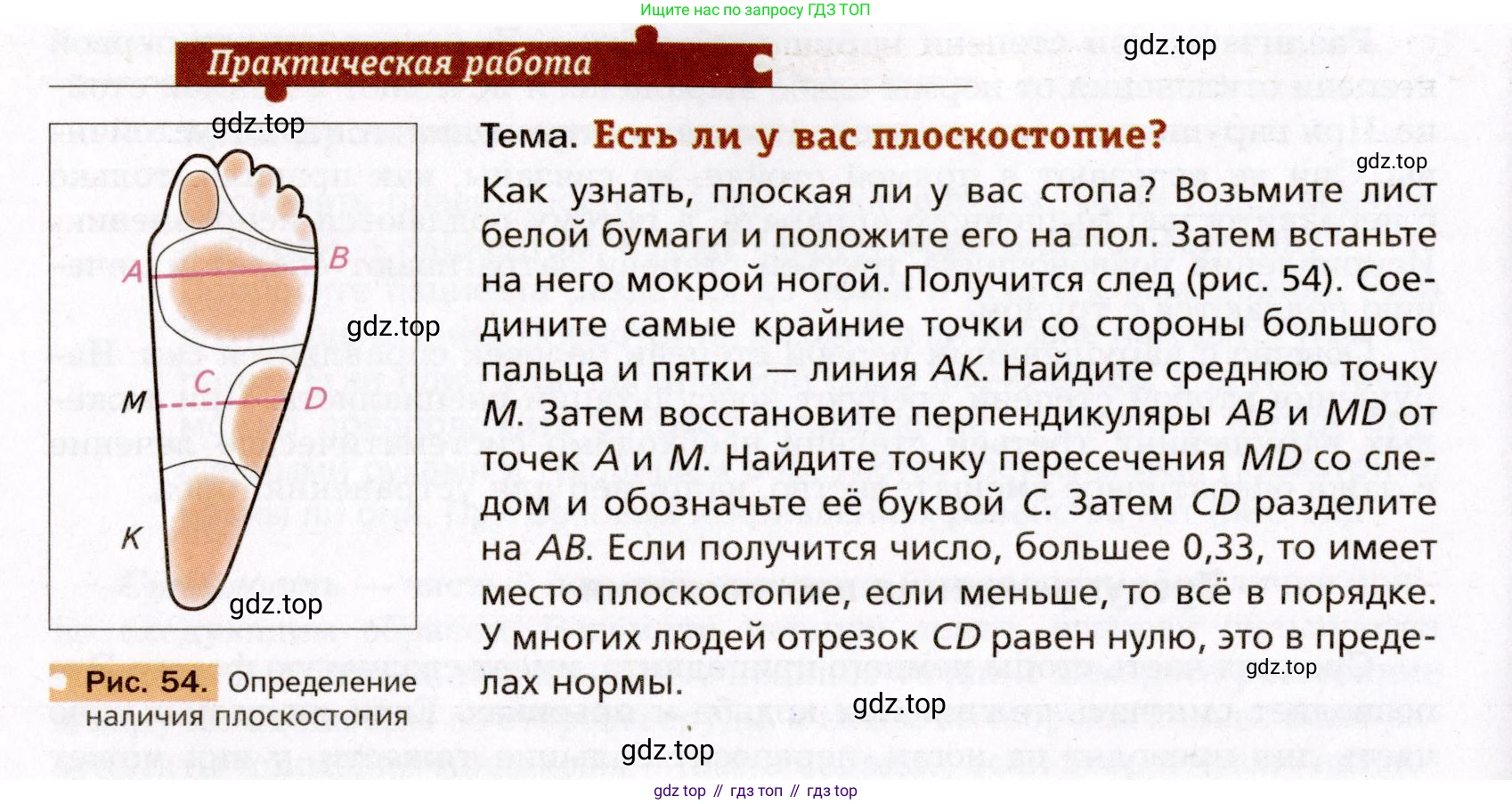 Биология, 8 класс Учебник, авторы: Драгомилов Александр Григорьевич, Маш Реми Давидович, издательство Просвещение, Москва, 2019, оранжевого цвета, страница 110, Условие