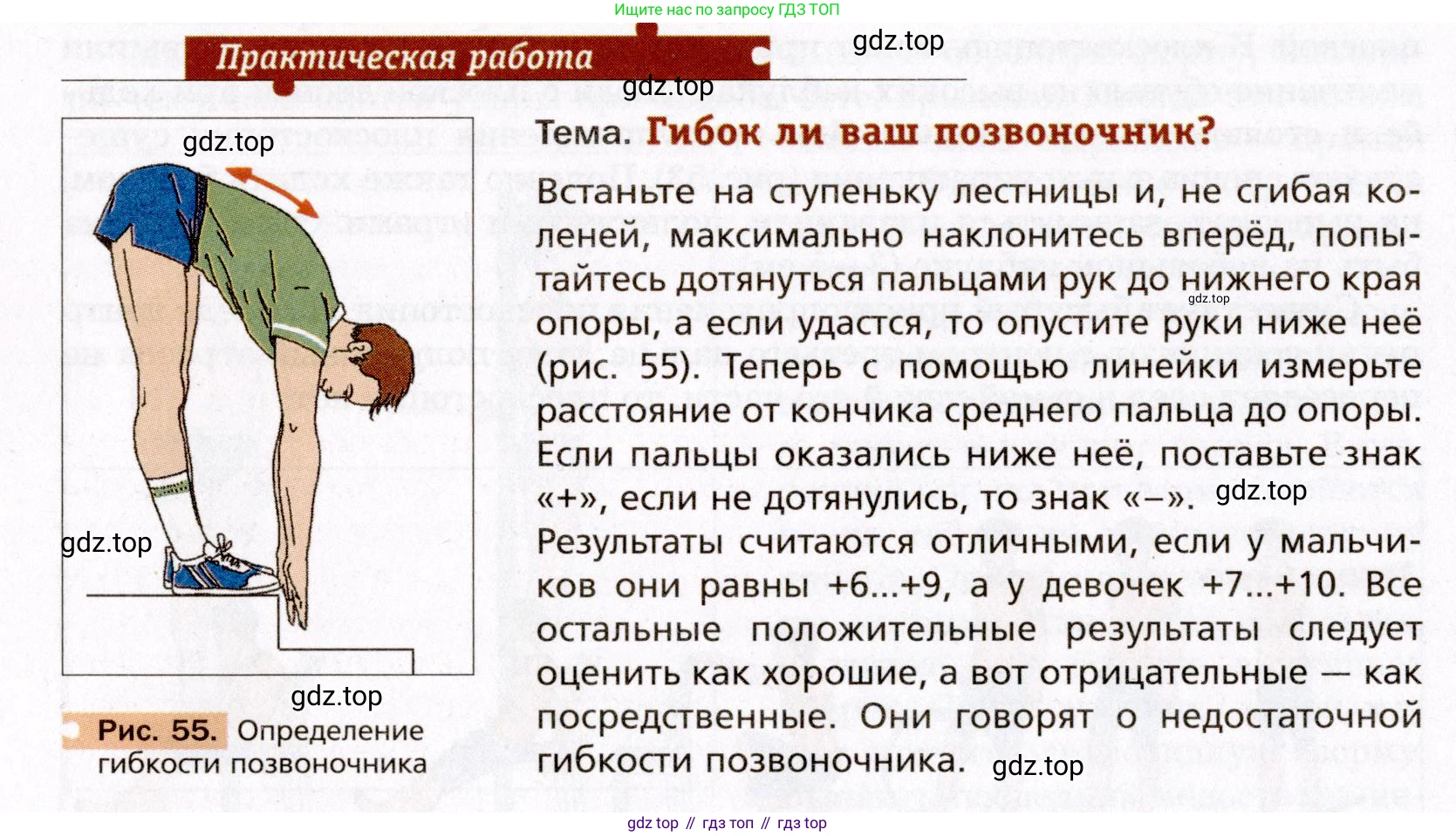 Биология, 8 класс Учебник, авторы: Драгомилов Александр Григорьевич, Маш Реми Давидович, издательство Просвещение, Москва, 2019, оранжевого цвета, страница 110, Условие (продолжение 2)