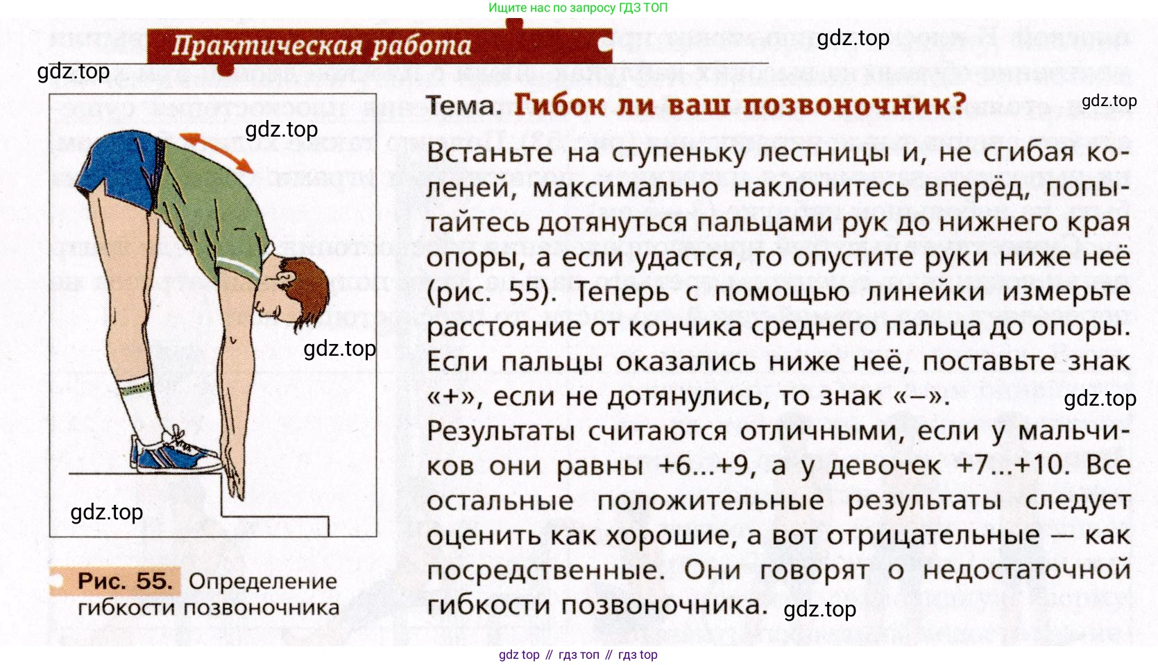 Биология, 8 класс Учебник, авторы: Драгомилов Александр Григорьевич, Маш Реми Давидович, издательство Просвещение, Москва, 2019, оранжевого цвета, страница 110, Условие