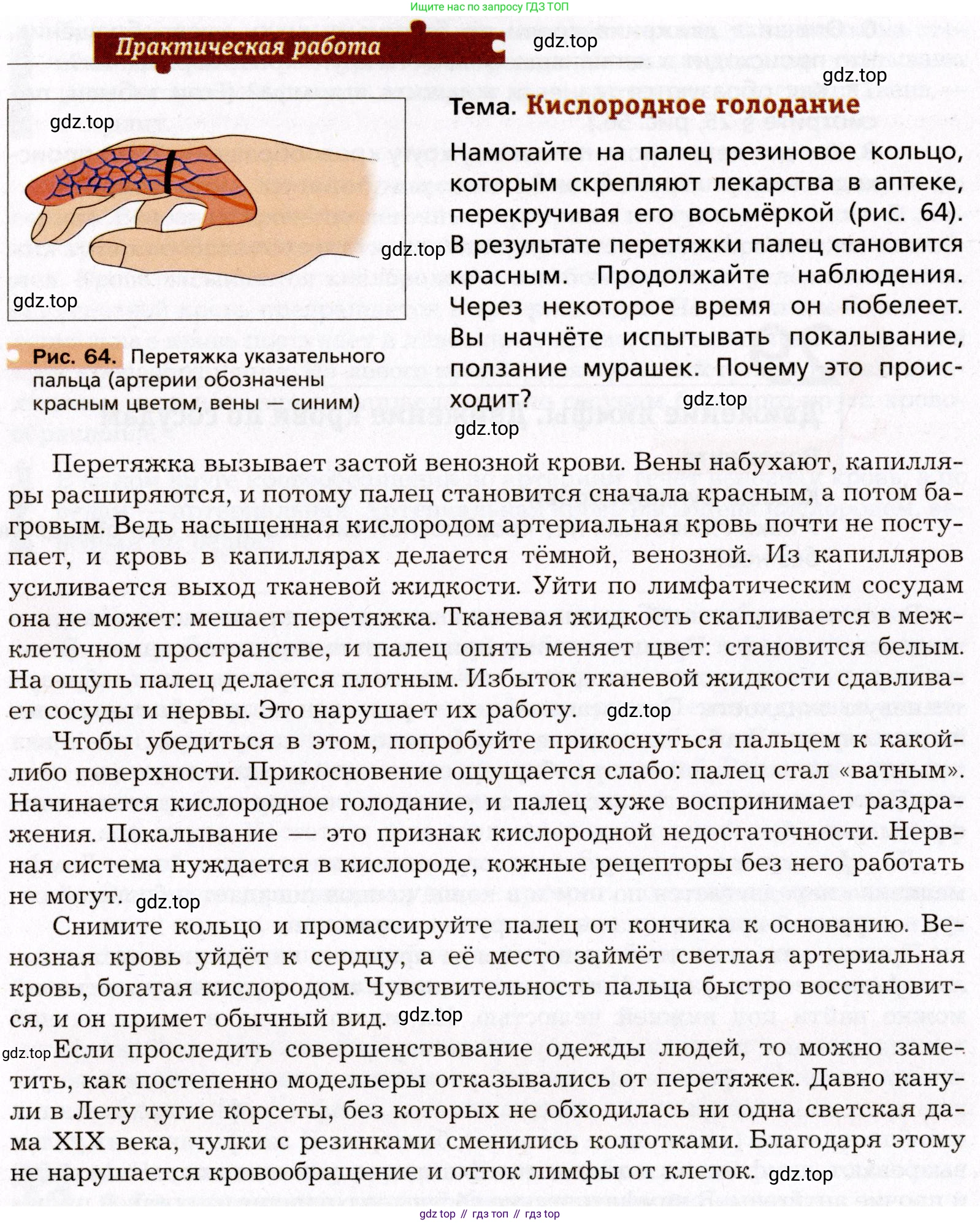 Биология, 8 класс Учебник, авторы: Драгомилов Александр Григорьевич, Маш Реми Давидович, издательство Просвещение, Москва, 2019, оранжевого цвета, страница 134, Условие