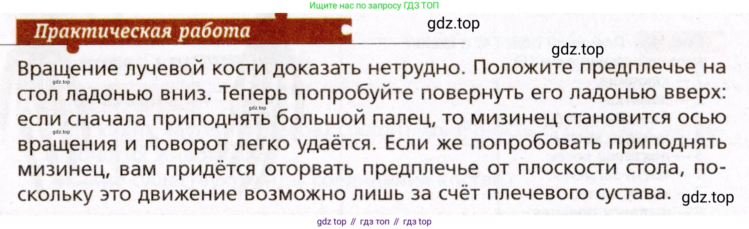 Биология, 8 класс Учебник, авторы: Драгомилов Александр Григорьевич, Маш Реми Давидович, издательство Просвещение, Москва, 2019, оранжевого цвета, страница 94, Условие