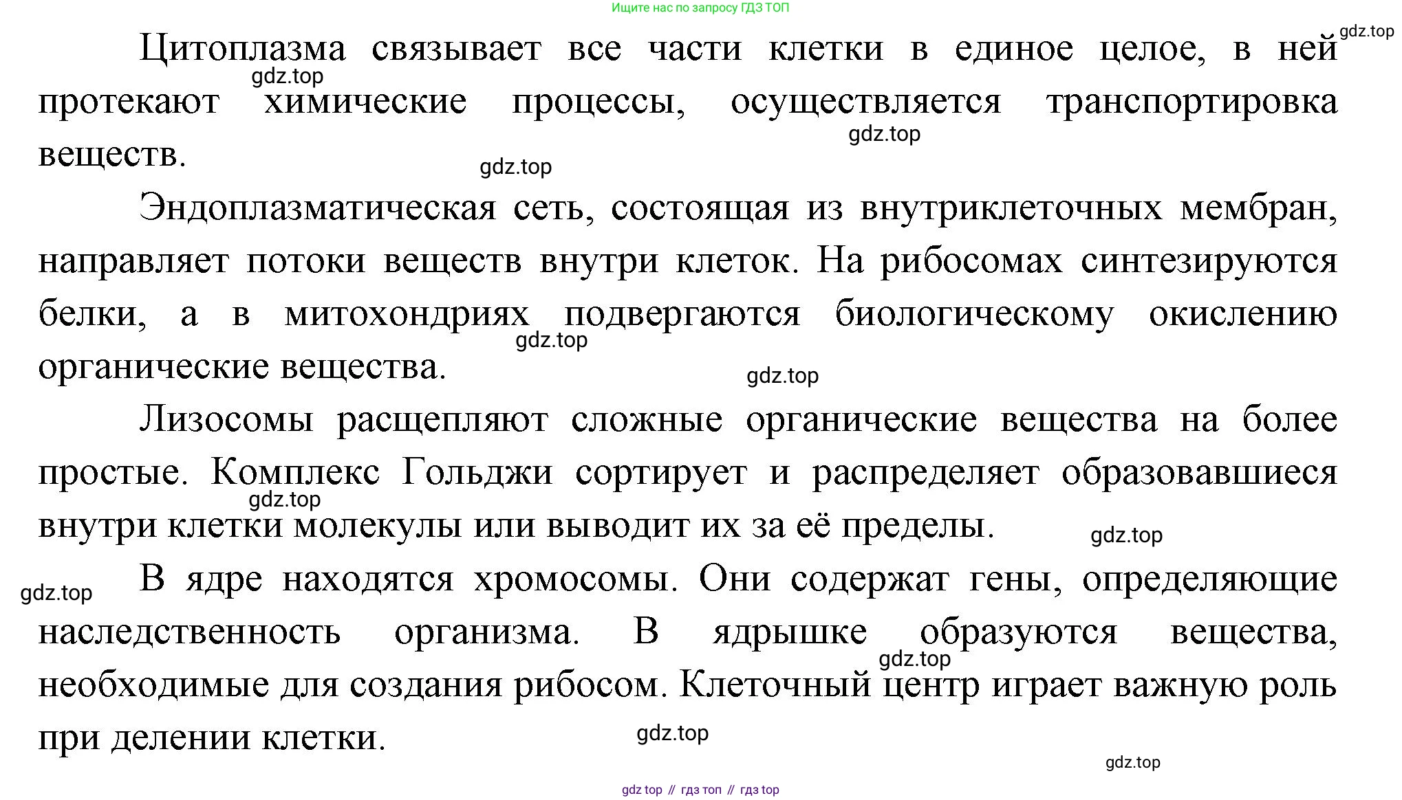 Биология, 8 класс Учебник, авторы: Драгомилов Александр Григорьевич, Маш Реми Давидович, издательство Просвещение, Москва, 2019, оранжевого цвета, страница 34, номер 4, Решение (продолжение 2)