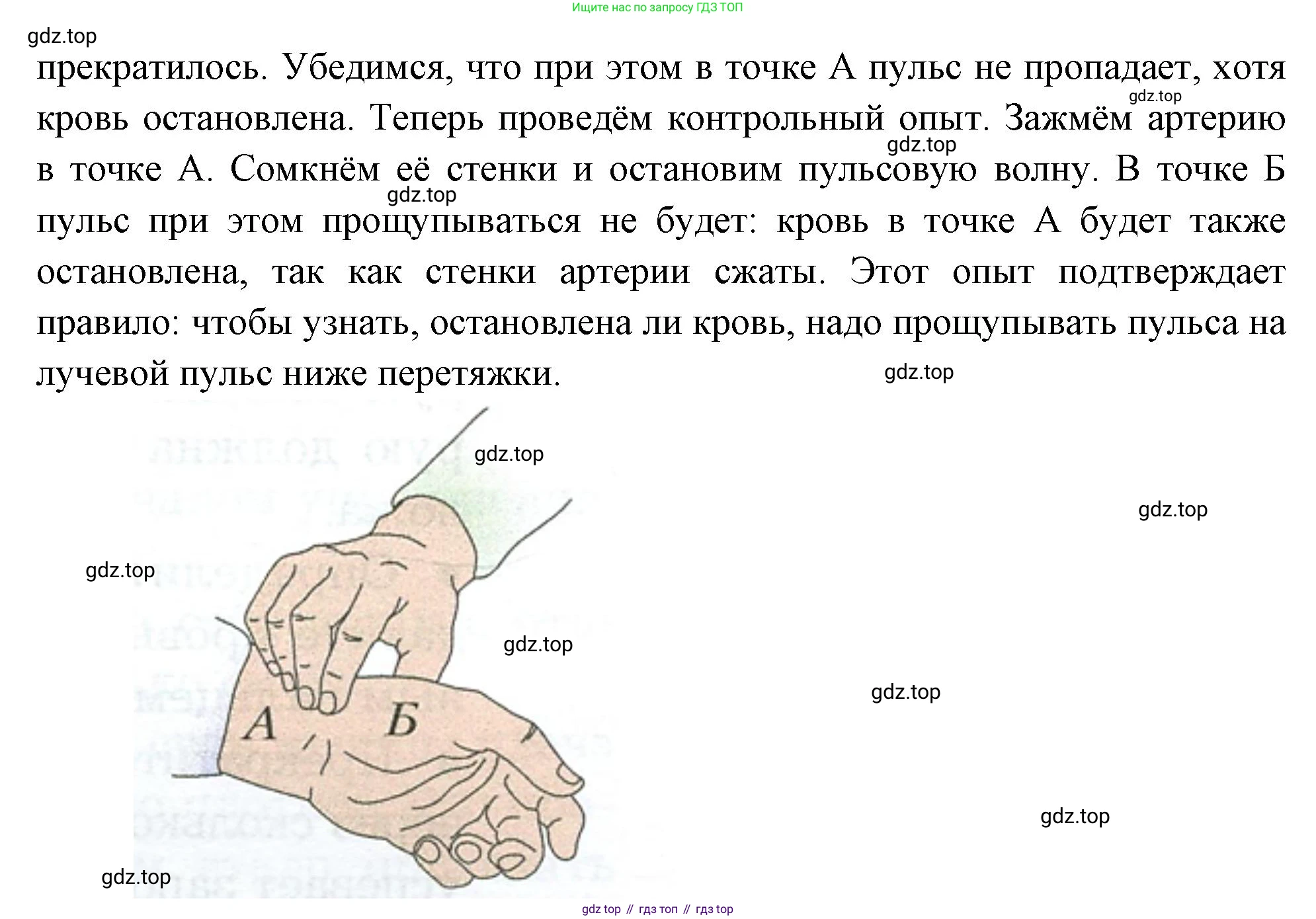 Биология, 8 класс Учебник, авторы: Драгомилов Александр Григорьевич, Маш Реми Давидович, издательство Просвещение, Москва, 2019, оранжевого цвета, страница 140, номер 6, Решение (продолжение 2)