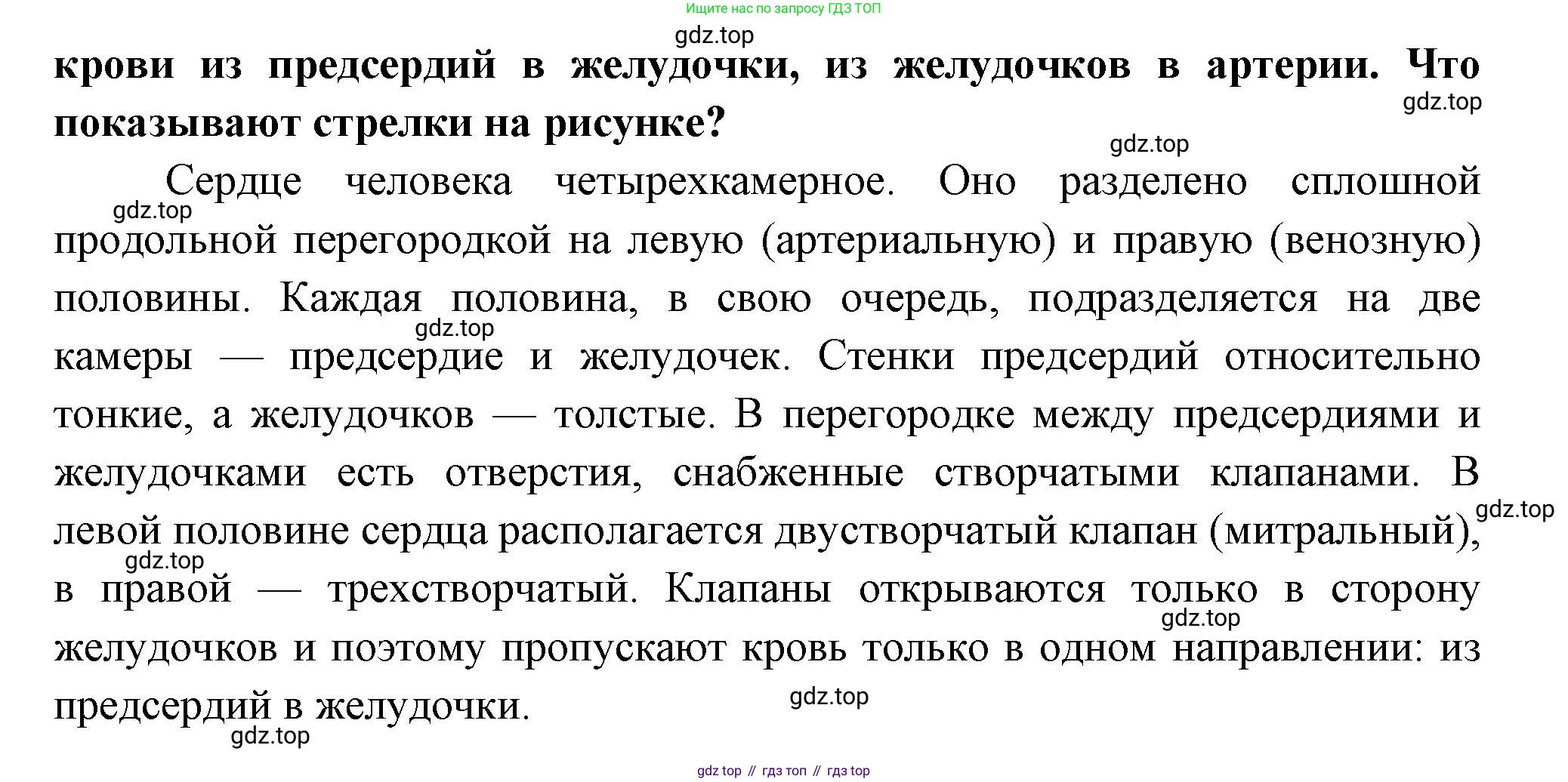 Биология, 8 класс Учебник, авторы: Драгомилов Александр Григорьевич, Маш Реми Давидович, издательство Просвещение, Москва, 2019, оранжевого цвета, страница 149, номер 15, Решение (продолжение 2)