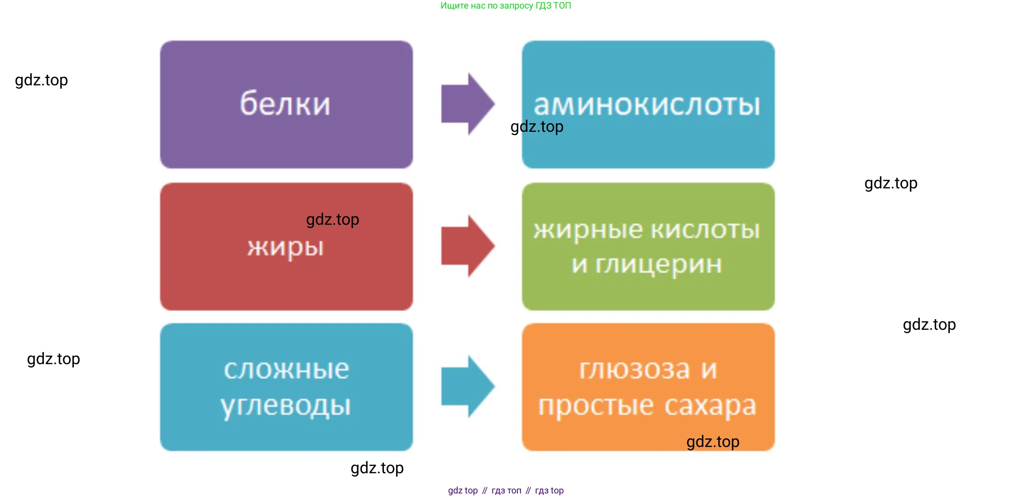 Биология, 8 класс Учебник, авторы: Драгомилов Александр Григорьевич, Маш Реми Давидович, издательство Просвещение, Москва, 2019, оранжевого цвета, страница 201, номер 3, Решение (продолжение 2)