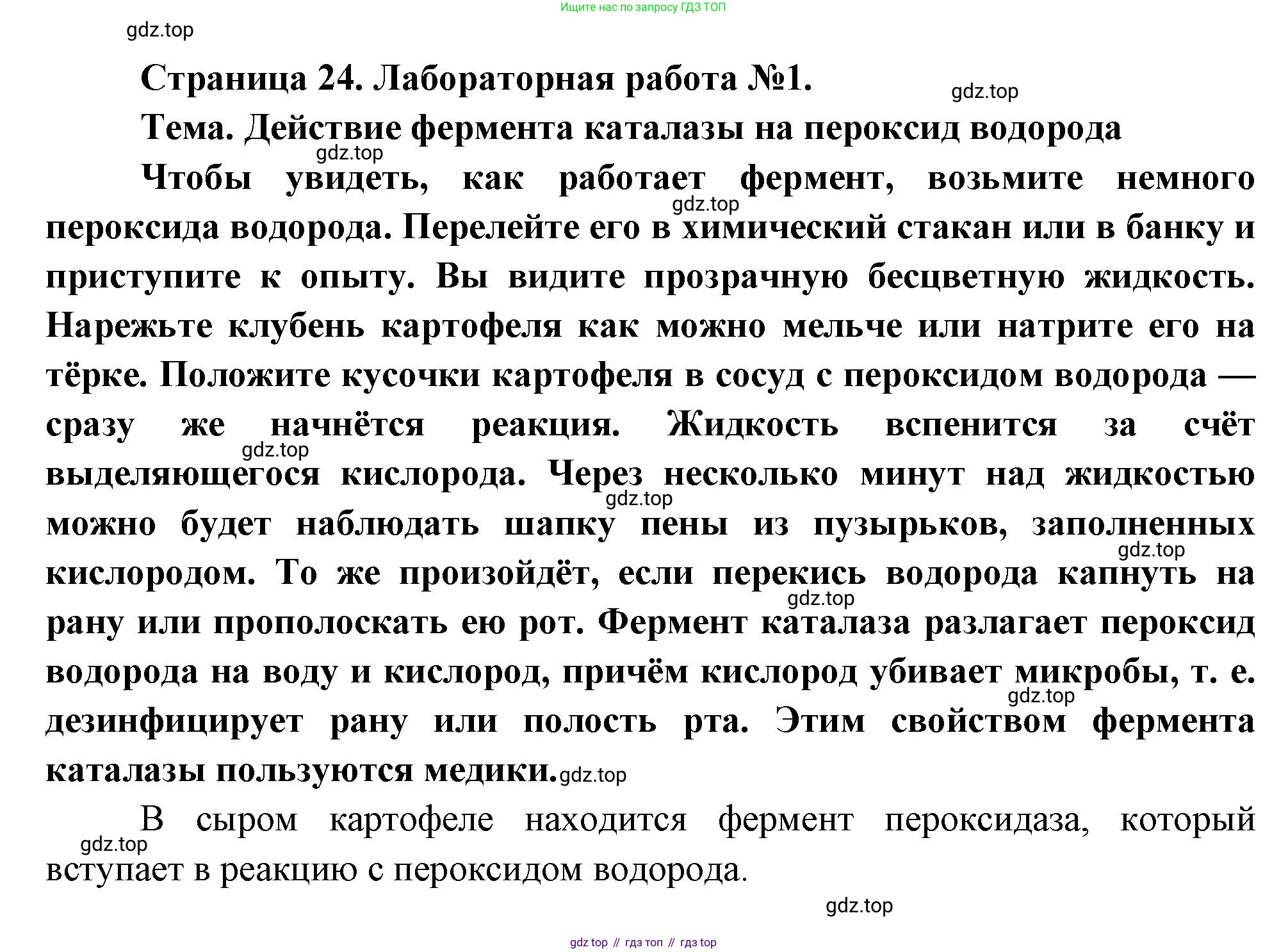 Биология, 8 класс Учебник, авторы: Драгомилов Александр Григорьевич, Маш Реми Давидович, издательство Просвещение, Москва, 2019, оранжевого цвета, страница 24, Решение