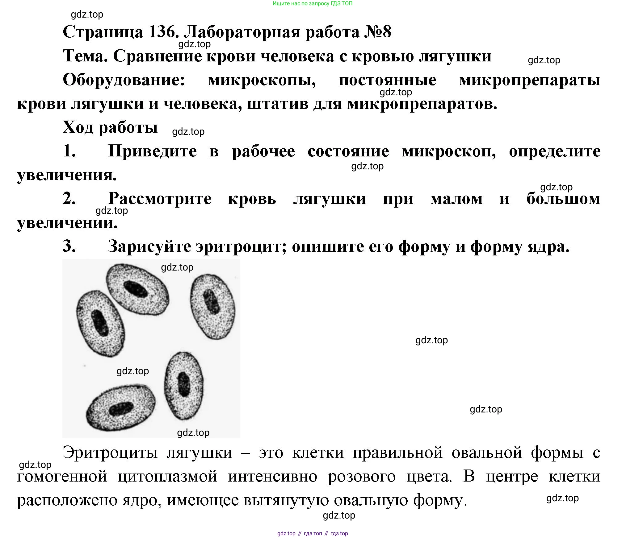 Биология, 8 класс Учебник, авторы: Драгомилов Александр Григорьевич, Маш Реми Давидович, издательство Просвещение, Москва, 2019, оранжевого цвета, страница 120, Решение