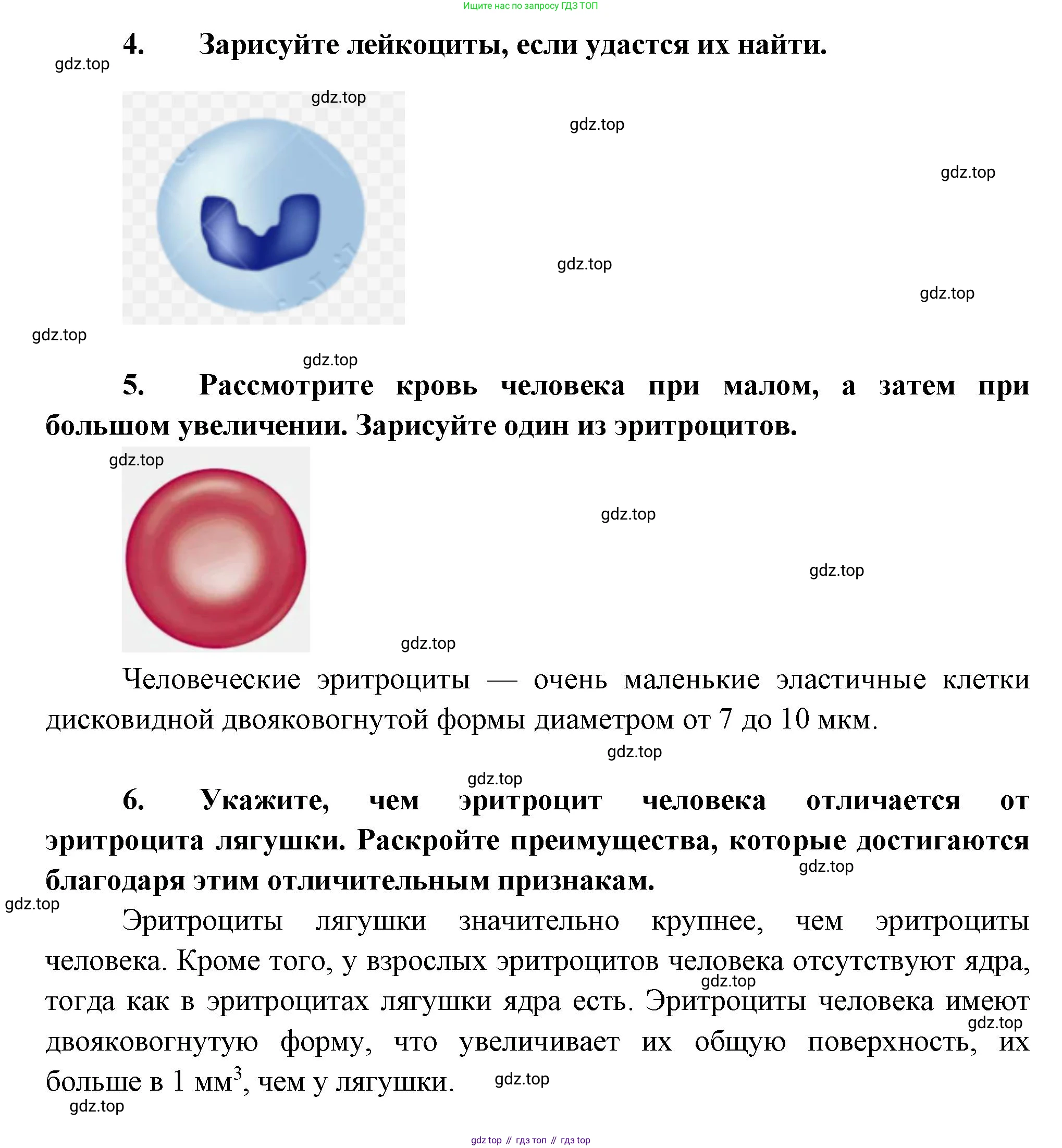 Биология, 8 класс Учебник, авторы: Драгомилов Александр Григорьевич, Маш Реми Давидович, издательство Просвещение, Москва, 2019, оранжевого цвета, страница 120, Решение (продолжение 2)