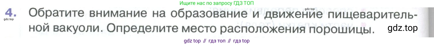 ГДЗ Биология, 8 класс Учебник, авторы: Латюшин Виталий Викторович, Шапкин Владимир Алексеевич, Озерова Жанна Анатольевна, издательство Просвещение, Москва, 2021, белого цвета, страница 36, номер 4, Условие