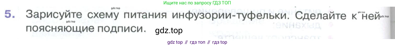ГДЗ Биология, 8 класс Учебник, авторы: Латюшин Виталий Викторович, Шапкин Владимир Алексеевич, Озерова Жанна Анатольевна, издательство Просвещение, Москва, 2021, белого цвета, страница 36, номер 5, Условие