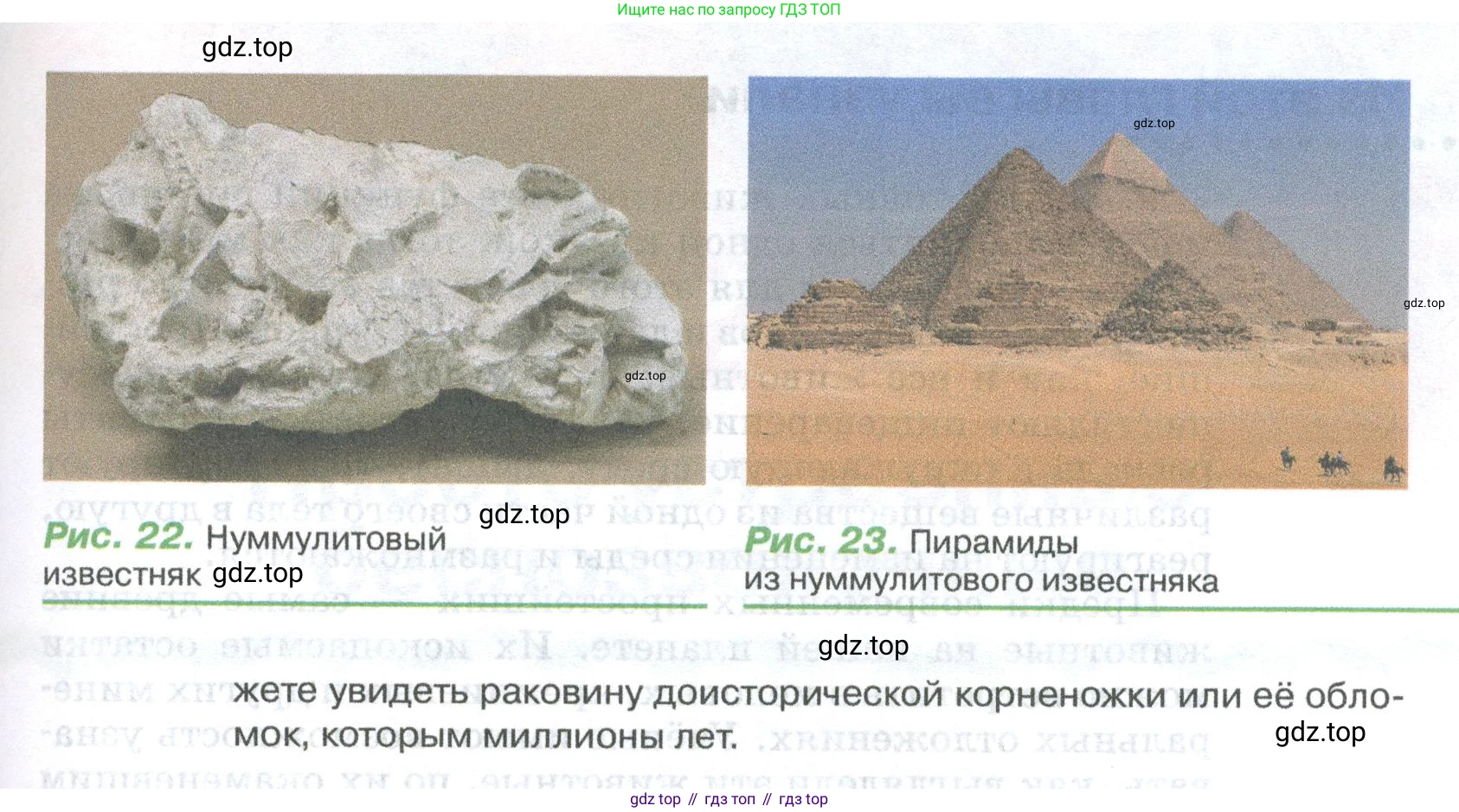 ГДЗ Биология, 8 класс Учебник, авторы: Латюшин Виталий Викторович, Шапкин Владимир Алексеевич, Озерова Жанна Анатольевна, издательство Просвещение, Москва, 2021, белого цвета, страница 44, номер 1, Условие (продолжение 2)