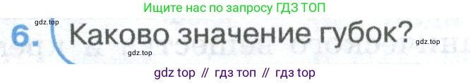 ГДЗ Биология, 8 класс Учебник, авторы: Латюшин Виталий Викторович, Шапкин Владимир Алексеевич, Озерова Жанна Анатольевна, издательство Просвещение, Москва, 2021, белого цвета, страница 52, номер 6, Условие