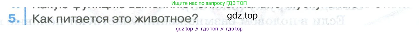 ГДЗ Биология, 8 класс Учебник, авторы: Латюшин Виталий Викторович, Шапкин Владимир Алексеевич, Озерова Жанна Анатольевна, издательство Просвещение, Москва, 2021, белого цвета, страница 60, номер 5, Условие