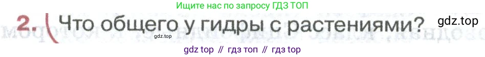 ГДЗ Биология, 8 класс Учебник, авторы: Латюшин Виталий Викторович, Шапкин Владимир Алексеевич, Озерова Жанна Анатольевна, издательство Просвещение, Москва, 2021, белого цвета, страница 61, номер 2, Условие
