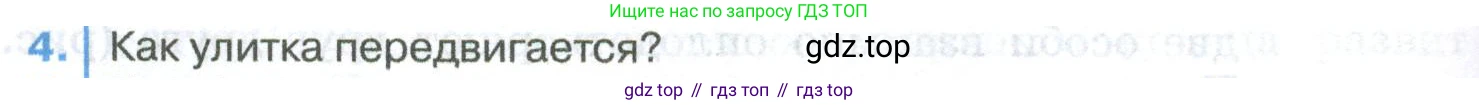 ГДЗ Биология, 8 класс Учебник, авторы: Латюшин Виталий Викторович, Шапкин Владимир Алексеевич, Озерова Жанна Анатольевна, издательство Просвещение, Москва, 2021, белого цвета, страница 116, номер 4, Условие