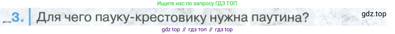 ГДЗ Биология, 8 класс Учебник, авторы: Латюшин Виталий Викторович, Шапкин Владимир Алексеевич, Озерова Жанна Анатольевна, издательство Просвещение, Москва, 2021, белого цвета, страница 158, номер 3, Условие