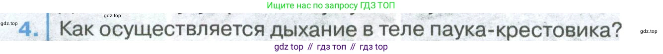 ГДЗ Биология, 8 класс Учебник, авторы: Латюшин Виталий Викторович, Шапкин Владимир Алексеевич, Озерова Жанна Анатольевна, издательство Просвещение, Москва, 2021, белого цвета, страница 158, номер 4, Условие