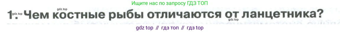 ГДЗ Биология, 8 класс Учебник, авторы: Латюшин Виталий Викторович, Шапкин Владимир Алексеевич, Озерова Жанна Анатольевна, издательство Просвещение, Москва, 2021, белого цвета, страница 216, номер 1, Условие
