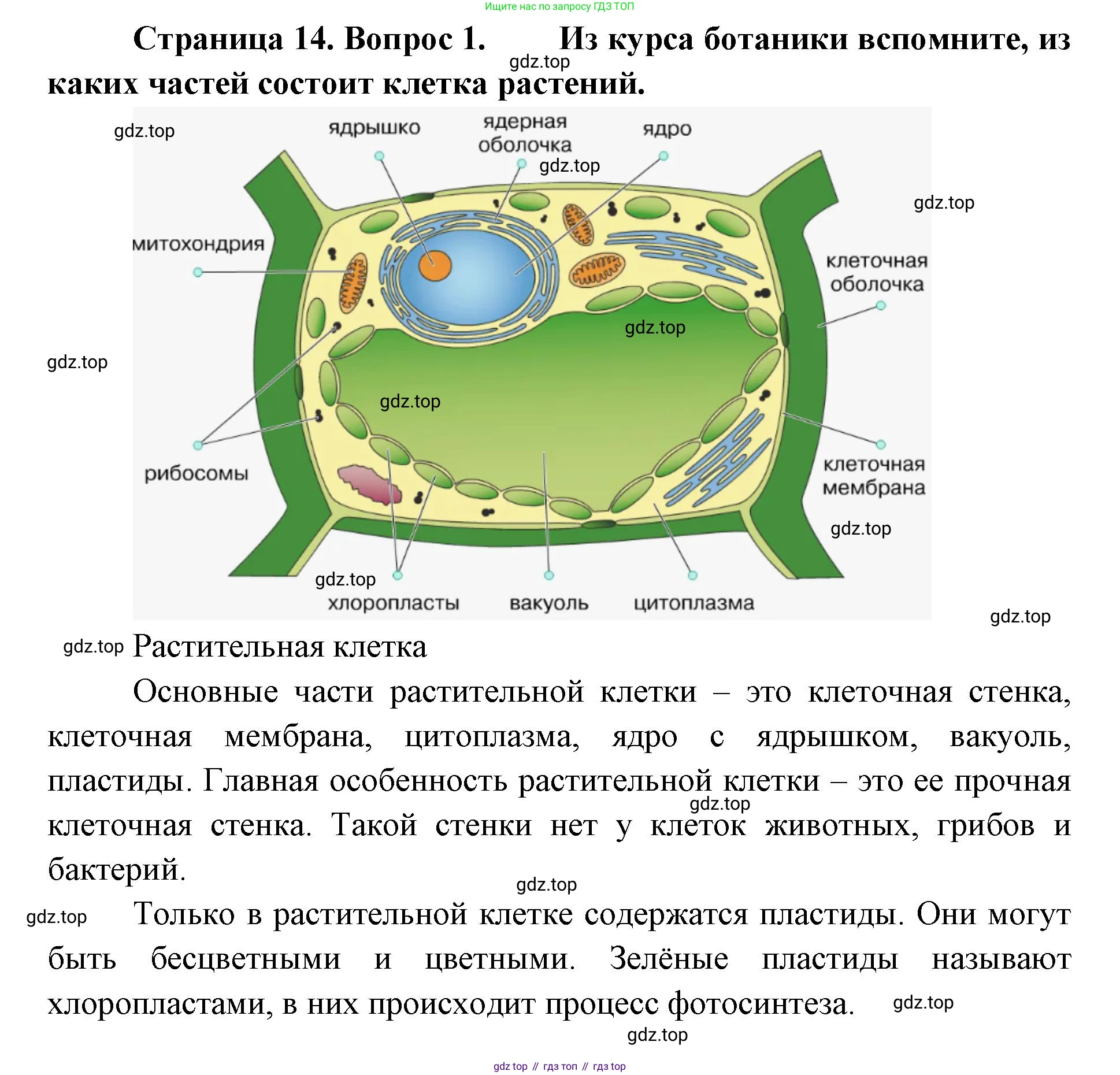 ГДЗ Биология, 8 класс Учебник, авторы: Латюшин Виталий Викторович, Шапкин Владимир Алексеевич, Озерова Жанна Анатольевна, издательство Просвещение, Москва, 2021, белого цвета, страница 14, номер 1, Решение