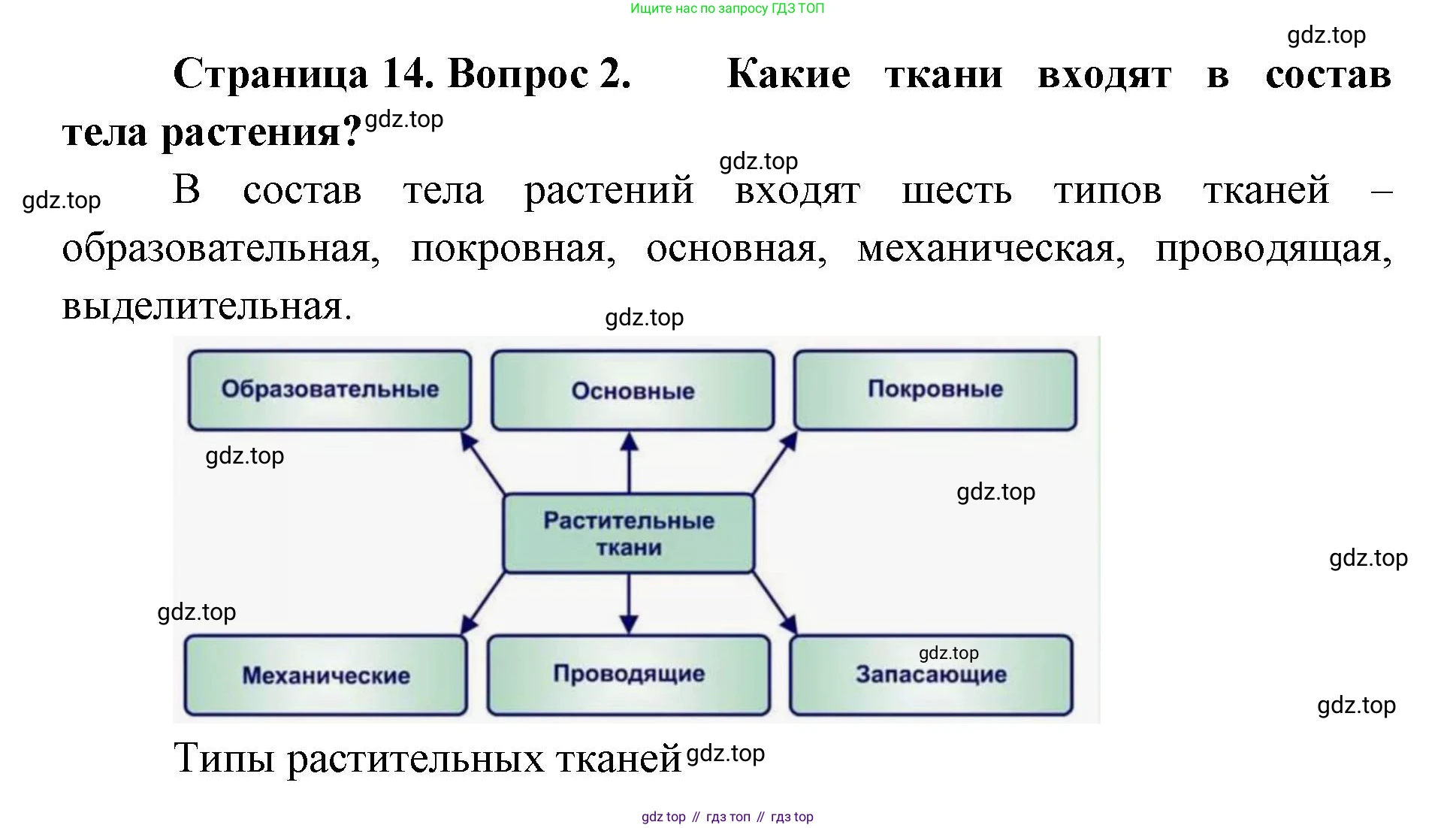 ГДЗ Биология, 8 класс Учебник, авторы: Латюшин Виталий Викторович, Шапкин Владимир Алексеевич, Озерова Жанна Анатольевна, издательство Просвещение, Москва, 2021, белого цвета, страница 14, номер 2, Решение