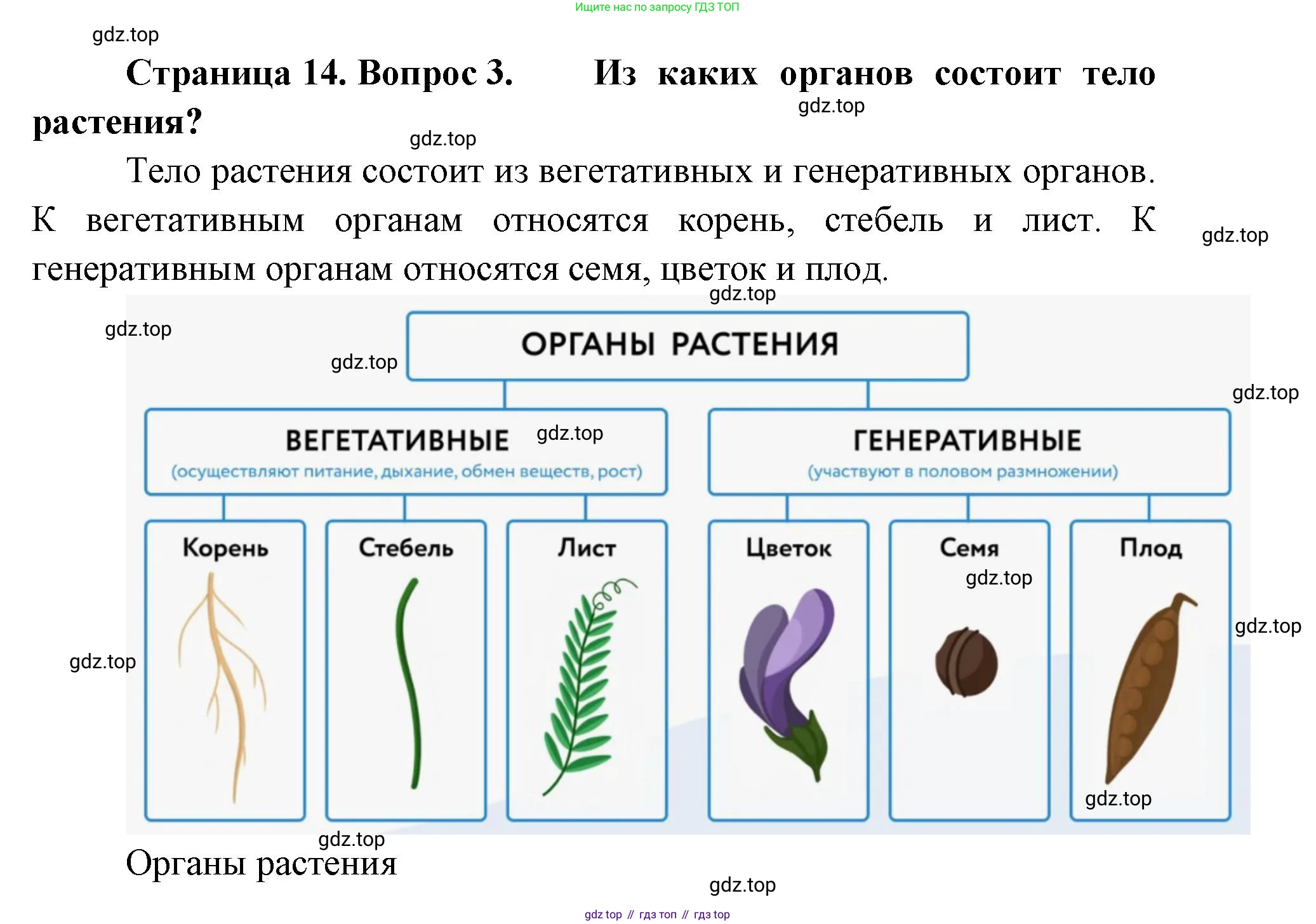 ГДЗ Биология, 8 класс Учебник, авторы: Латюшин Виталий Викторович, Шапкин Владимир Алексеевич, Озерова Жанна Анатольевна, издательство Просвещение, Москва, 2021, белого цвета, страница 14, номер 3, Решение
