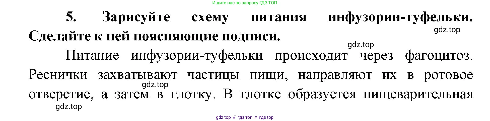 ГДЗ Биология, 8 класс Учебник, авторы: Латюшин Виталий Викторович, Шапкин Владимир Алексеевич, Озерова Жанна Анатольевна, издательство Просвещение, Москва, 2021, белого цвета, страница 36, номер 5, Решение