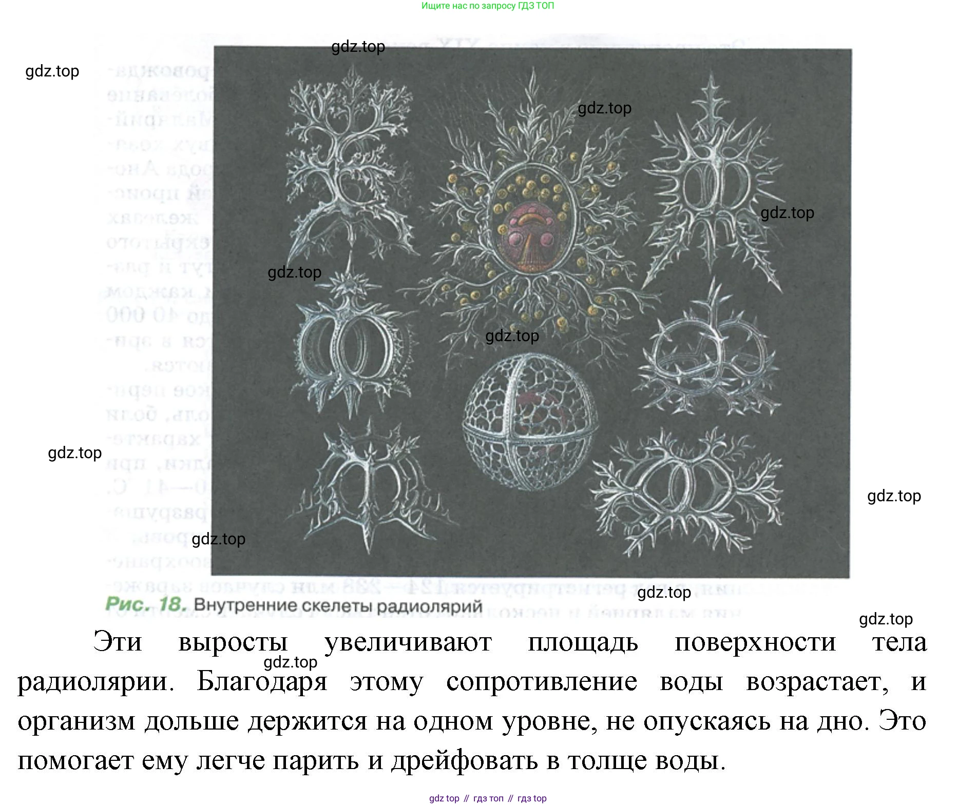 ГДЗ Биология, 8 класс Учебник, авторы: Латюшин Виталий Викторович, Шапкин Владимир Алексеевич, Озерова Жанна Анатольевна, издательство Просвещение, Москва, 2021, белого цвета, страница 44, номер 1, Решение (продолжение 2)