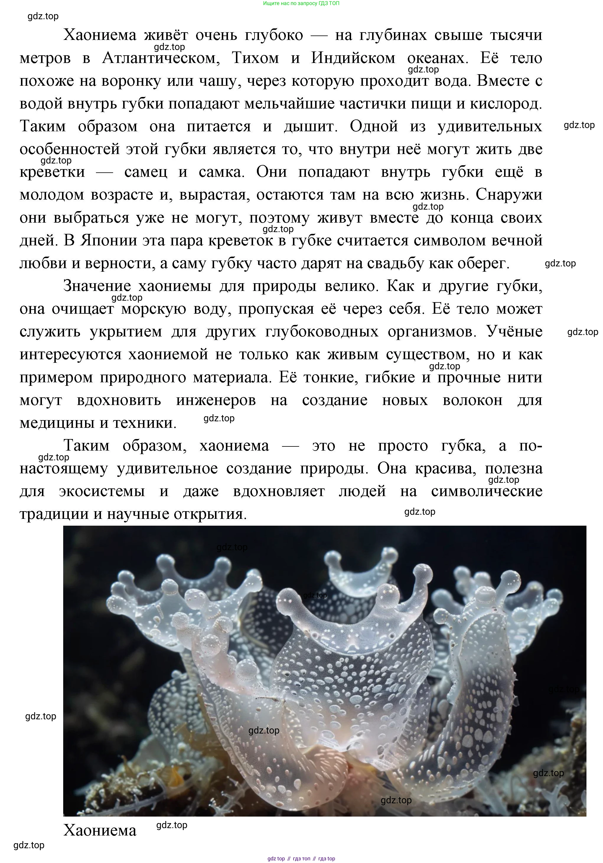 ГДЗ Биология, 8 класс Учебник, авторы: Латюшин Виталий Викторович, Шапкин Владимир Алексеевич, Озерова Жанна Анатольевна, издательство Просвещение, Москва, 2021, белого цвета, страница 52, номер 1, Решение (продолжение 2)